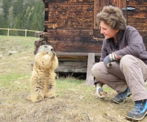 Parc-de-Merlet-Animal-Park