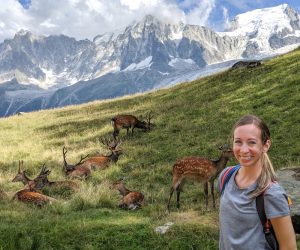 things-to-do-in-chamonix-in-the-summer-merlet-deer-